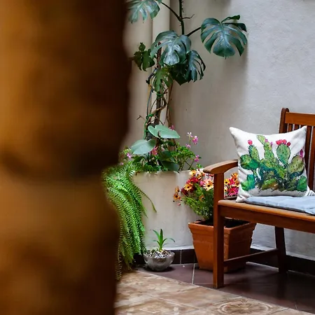 Couette-café Palazzo Carella