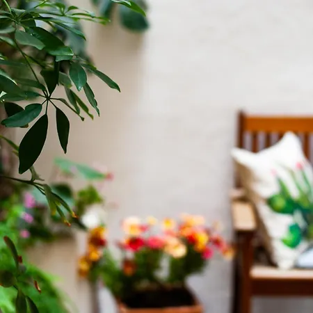 Bed & Breakfast Palazzo Carella 3*