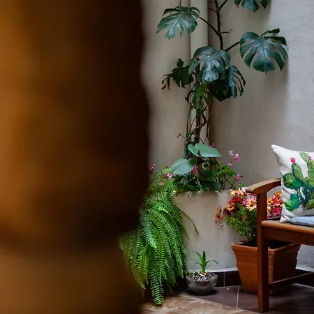 Palazzo Carella Couette-café Palerme