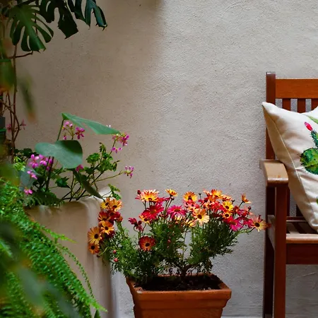 Bed & Breakfast Palazzo Carella Palermo